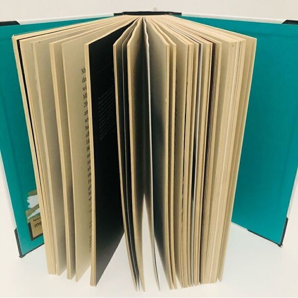 Fantastic Man Book   - Picture 2 of 3